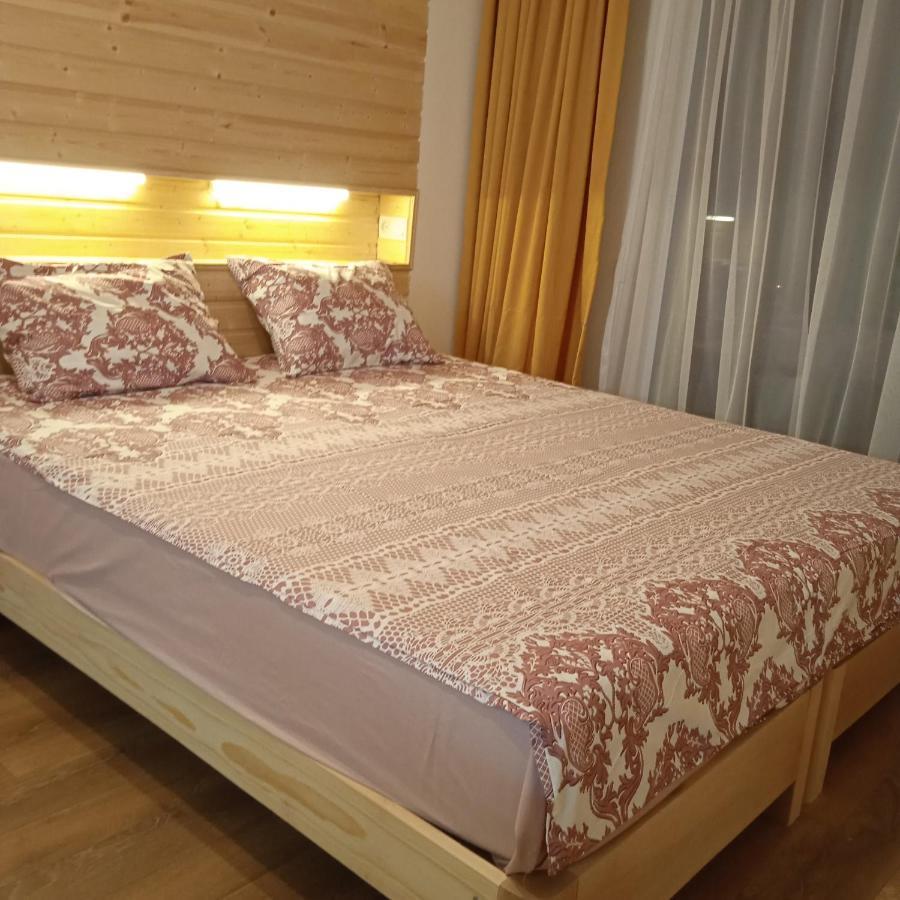 Roshka Apartment 307 Гудаури Экстерьер фото