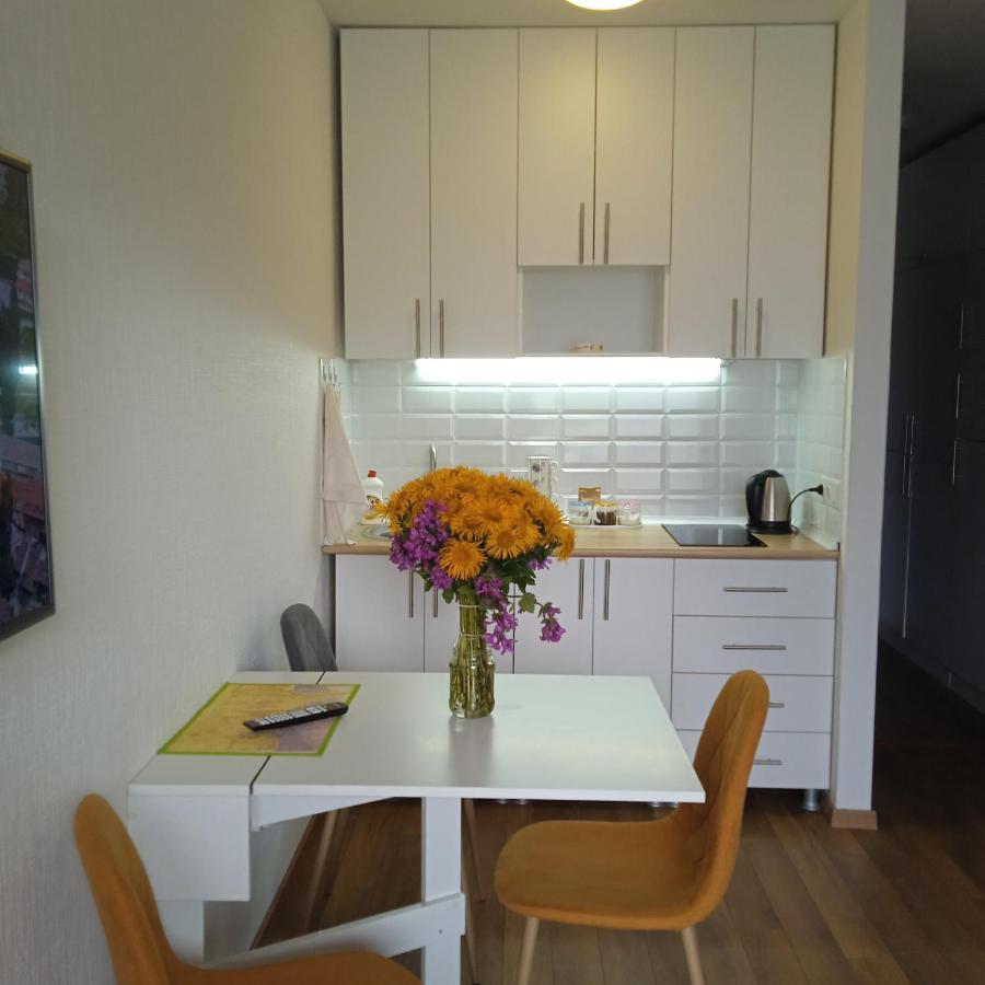 Roshka Apartment 307 Гудаури Экстерьер фото